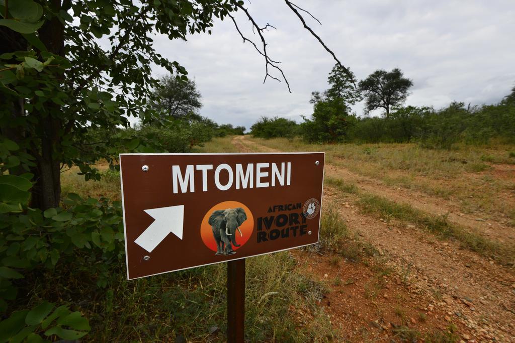 Mtomeni Safari Camp Hotel Phalaborwa Exterior photo